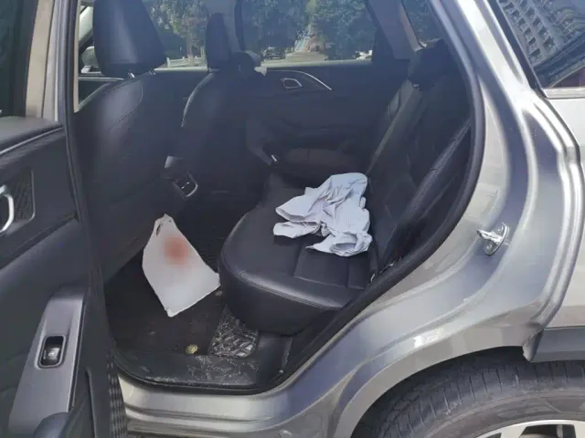 Haval Xiaolong MAX — Фото автомобиля 13