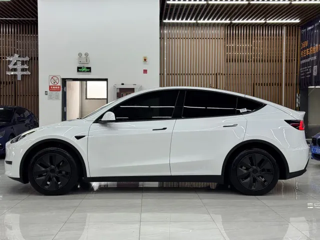 Tesla Model Y — Фото автомобиля 3
