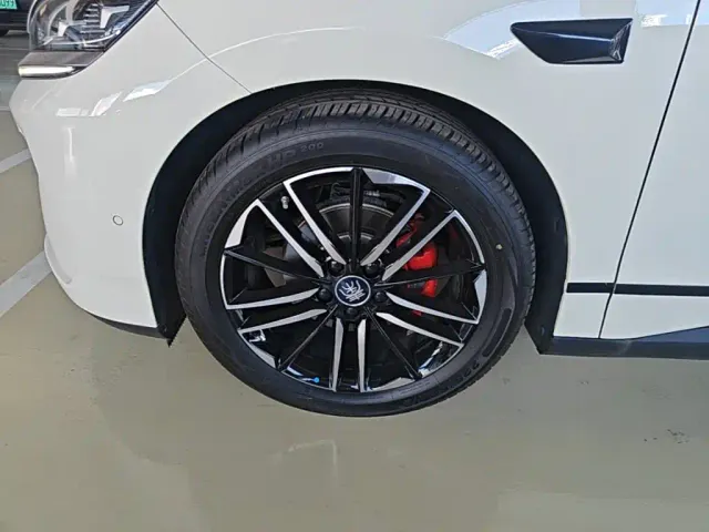 BYD Qin L — Фото автомобиля 22