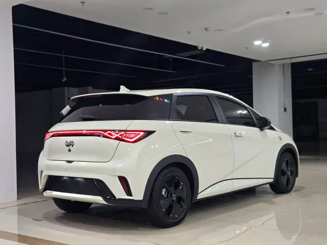 BYD Dolphin — Фото автомобиля 4