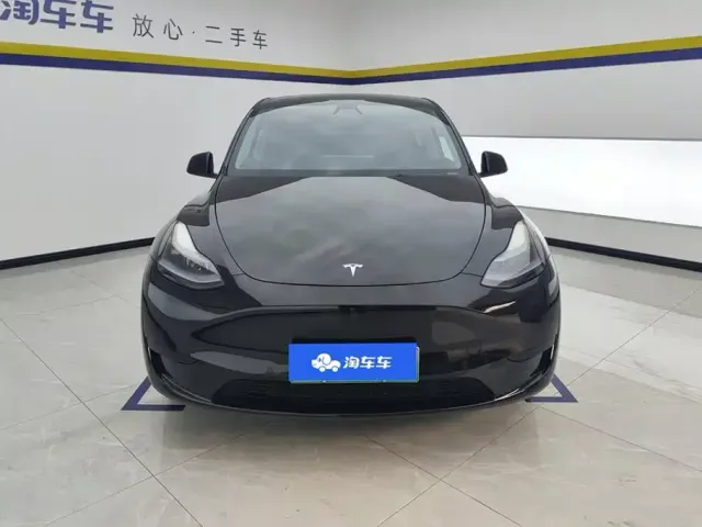 Tesla Model Y — Фото автомобиля 2