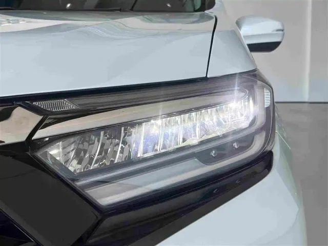Honda Elysion — Фото автомобиля 14