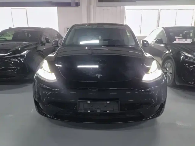 Tesla Model Y — Фото автомобиля 2