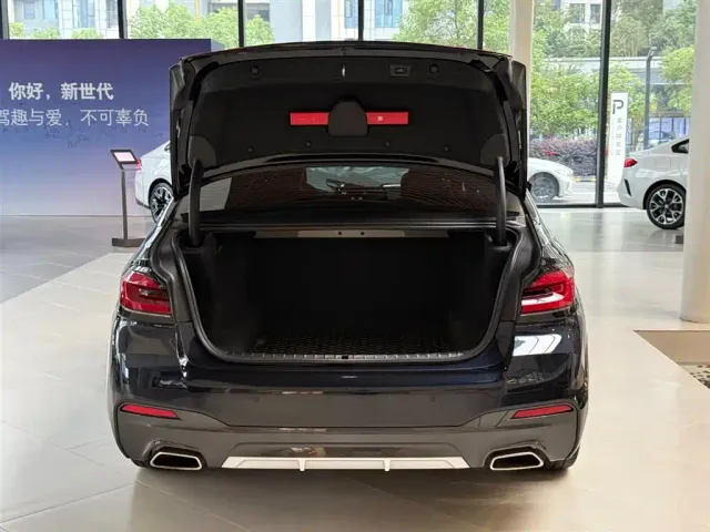BMW 5 Series — Фото автомобиля 6