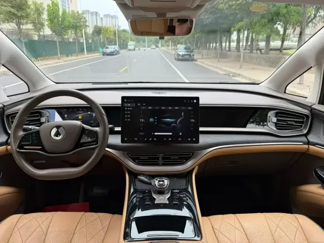Denza D9 — Фото автомобиля 5