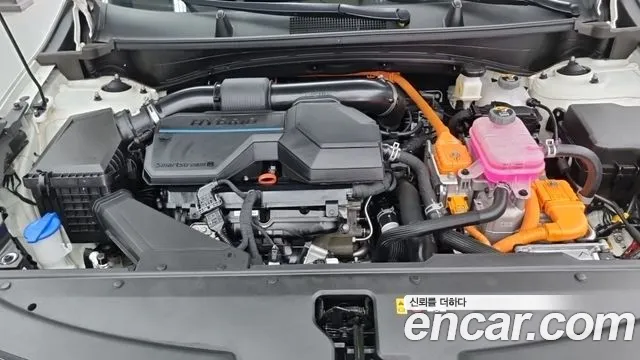 Kia Sportage — Фото автомобиля 6