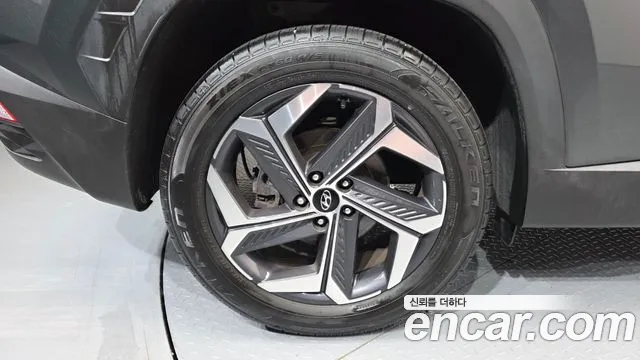 Hyundai Tucson Tucson (NX4) Бензин 1.6 турбо 2WD — Фото автомобиля 4
