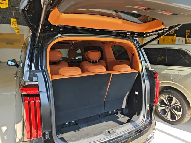 Wey Alpine — Фото автомобиля 15
