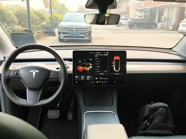Tesla Model Y — Фото автомобиля 9