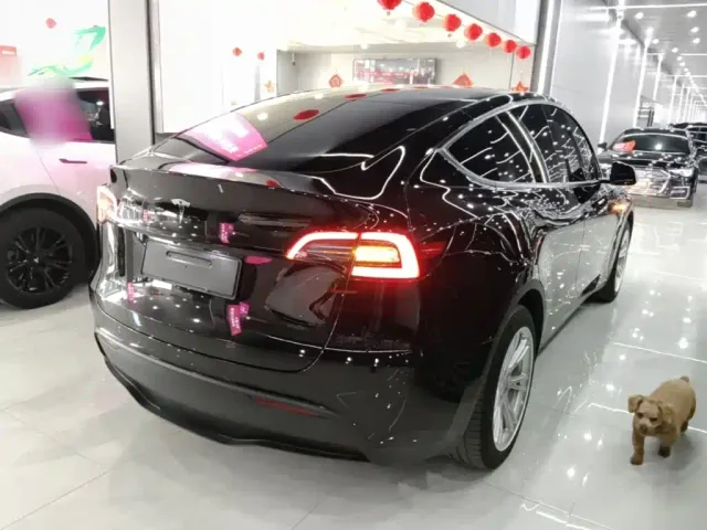 Tesla Model Y — Фото автомобиля 6