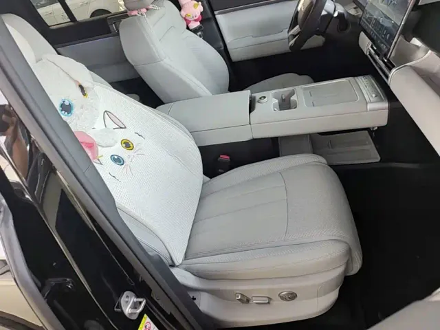 BYD FangChengBao Titanium 7 — Фото автомобиля 24
