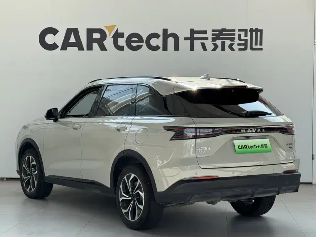 Haval Xiaolong MAX — Фото автомобиля 6