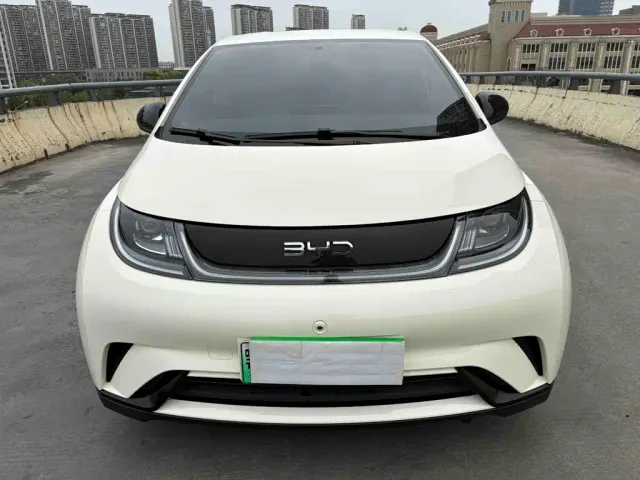 BYD Dolphin — Фото автомобиля 2