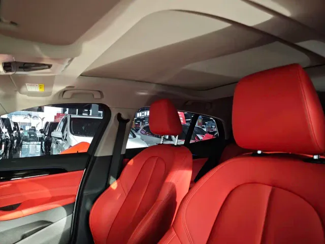 BMW X2 — Фото автомобиля 11