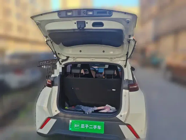BYD Seagull — Фото автомобиля 15