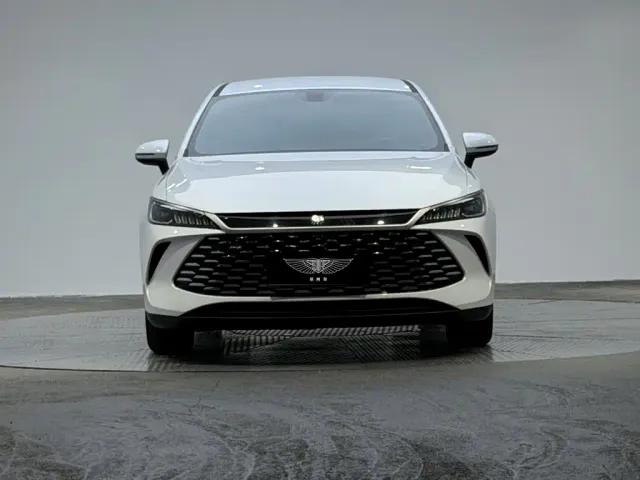 BYD Qin PLUS — Фото автомобиля 2