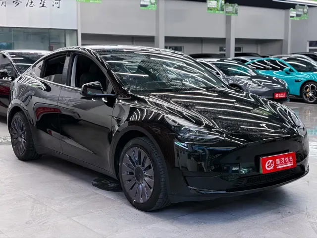 Tesla Model Y — Фото автомобиля 3