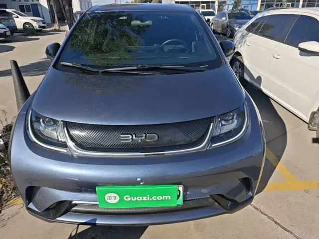 BYD Dolphin — Фото автомобиля 2