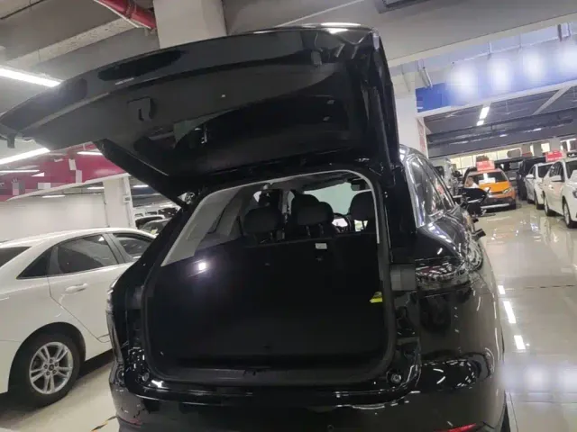 Chery Fulwin T9 — Фото автомобиля 18