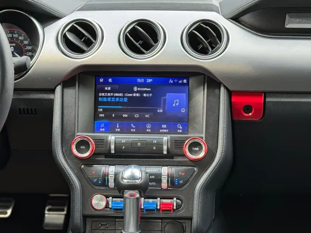 Ford Mustang — Фото автомобиля 11