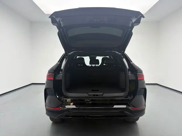 BYD Song PLUS — Фото автомобиля 18