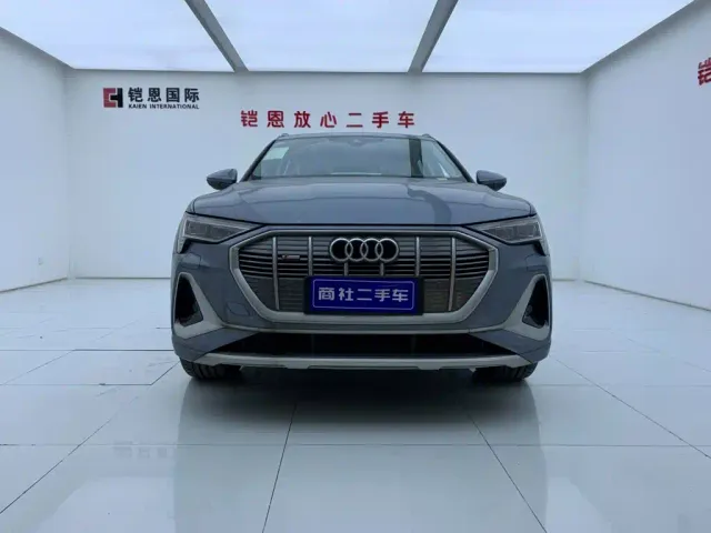 Audi e-tron — Фото автомобиля 3
