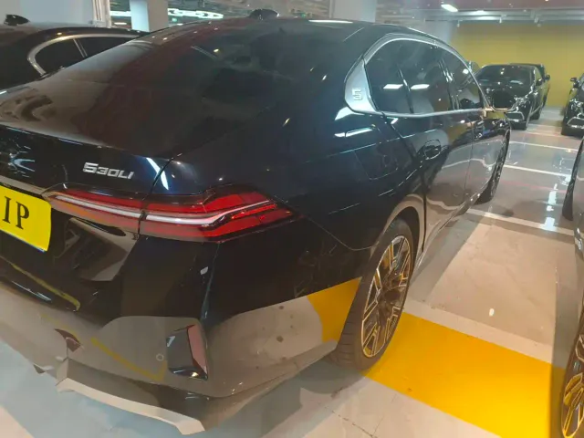 BMW 5 Series — Фото автомобиля 13