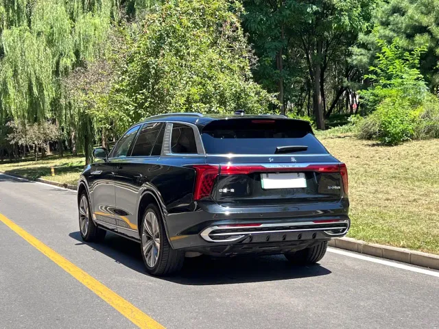Hongqi E-HS9 — Фото автомобиля 8