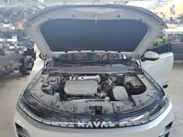Haval Xiaolong MAX — Фото автомобиля 19
