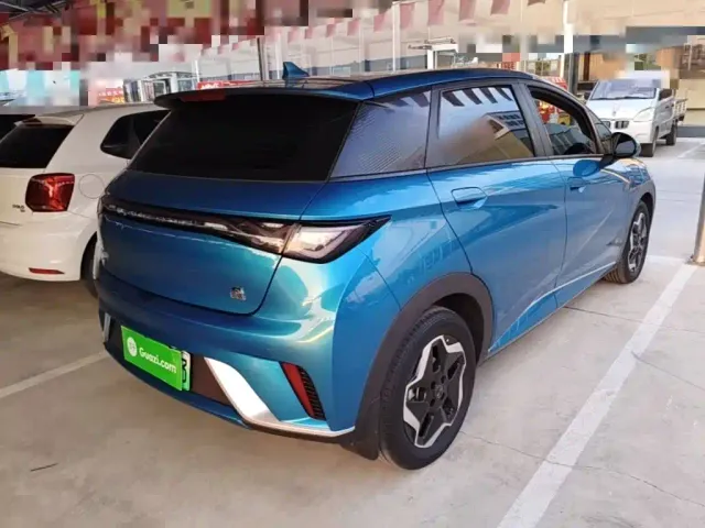 BYD Dolphin 2021 Model 405km Fashion Edition — Фото автомобиля 6