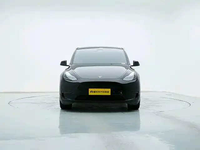 Tesla Model Y — Фото автомобиля 2