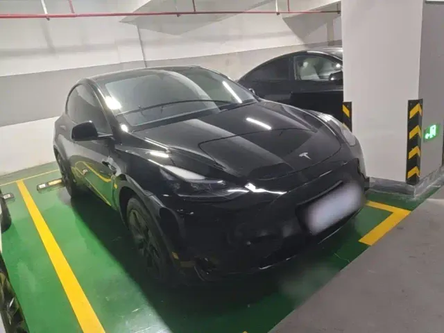 Tesla Model Y — Фото автомобиля 3