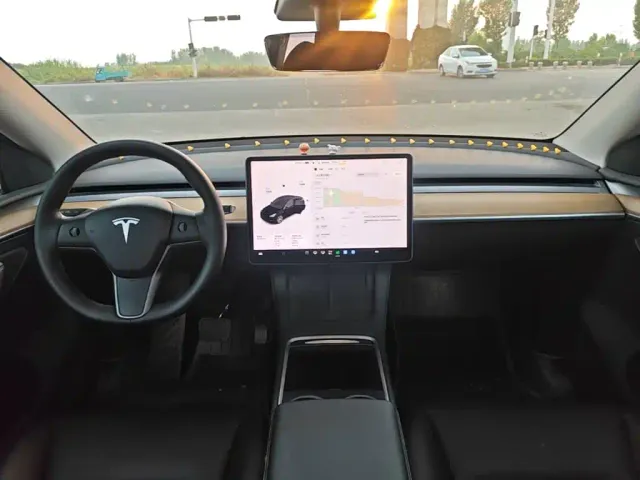 Tesla Model Y — Фото автомобиля 9
