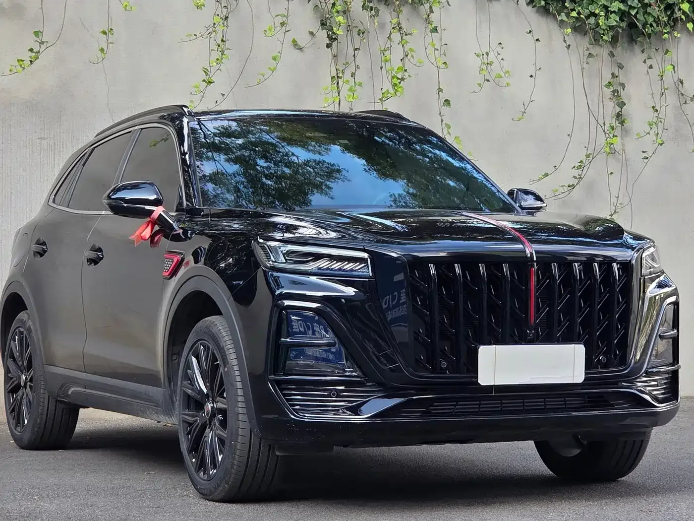 Hongqi Hongqi HS5 2026 2.0T 4WD Mystic Shadow Edition — Фото автомобиля 3