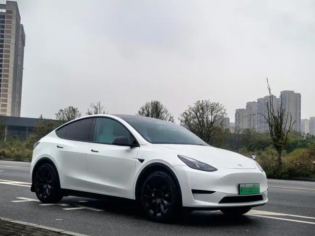 Tesla Model Y — Фото автомобиля 3