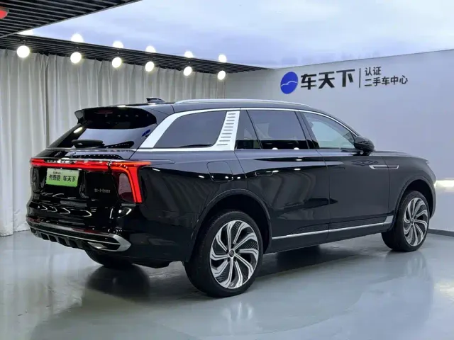 Hongqi E-HS9 — Фото автомобиля 5