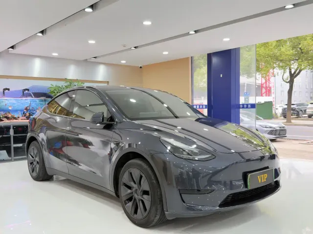 Tesla Model Y — Фото автомобиля 3