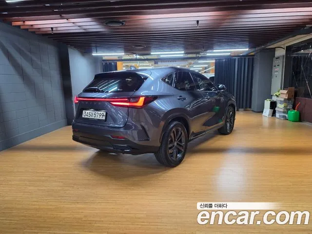 Lexus NX 2nd Gen — Фото автомобиля 2