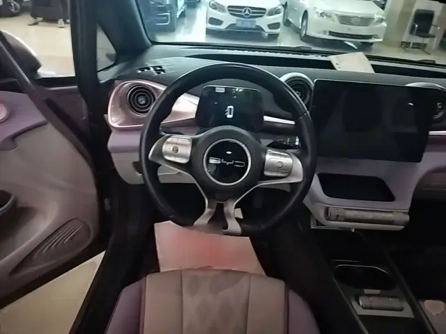 BYD Dolphin — Фото автомобиля 10