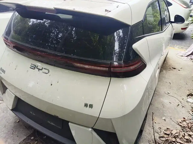 BYD Seagull — Фото автомобиля 6