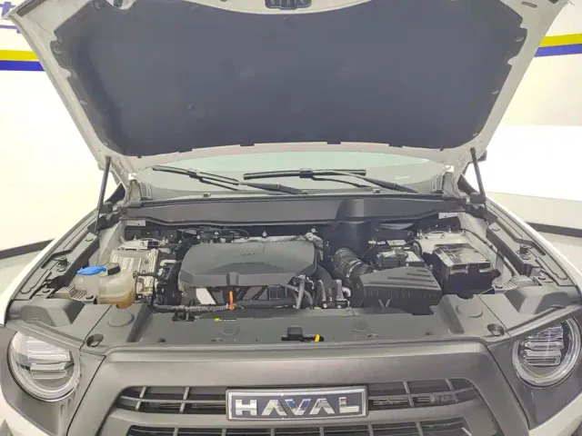 Haval Big Dog — Фото автомобиля 10