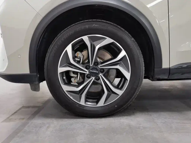 Haval Xiaolong MAX — Фото автомобиля 17