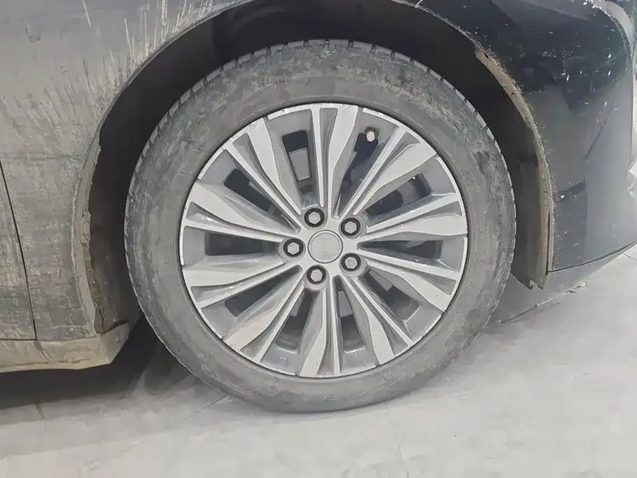 Hongqi Hongqi E-QM5 2024 Model 610km PLUS — Фото автомобиля 6