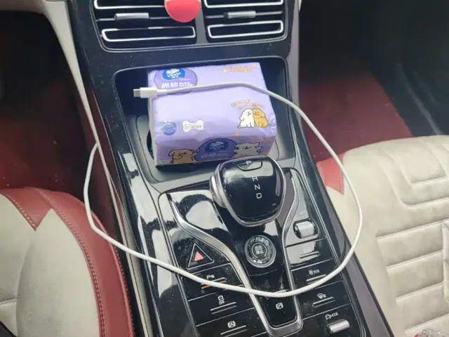 BYD Qin PLUS — Фото автомобиля 16