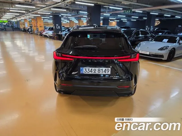Lexus NX 2nd Gen — Фото автомобиля 4