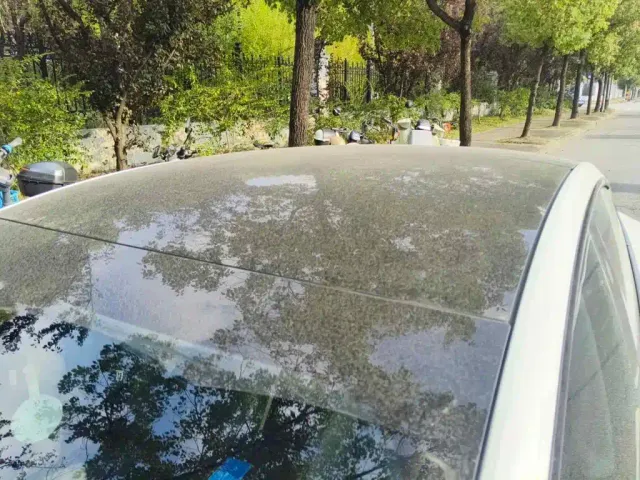 Tesla Model 3 — Фото автомобиля 6