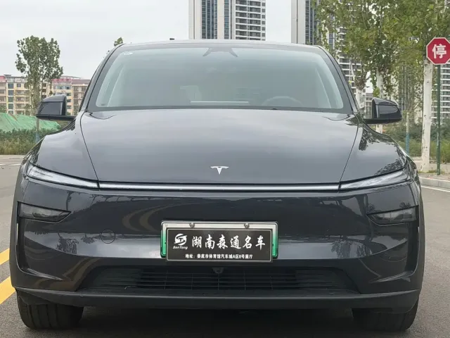 Tesla Model Y — Фото автомобиля 2