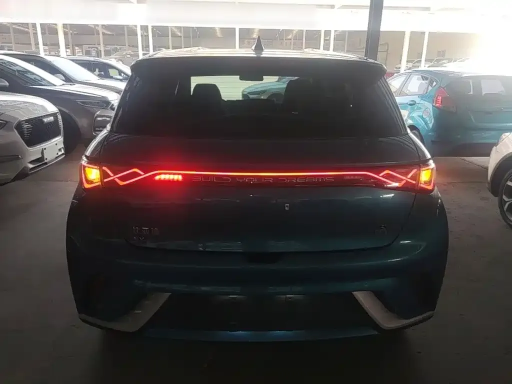 BYD Dolphin 2021 405km Freedom Edition — Фото автомобиля 3