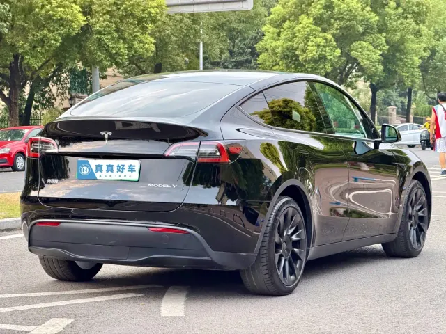 Tesla Model Y — Фото автомобиля 4