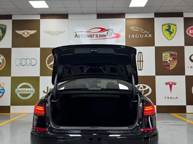 Volkswagen Passat — Фото автомобиля 17